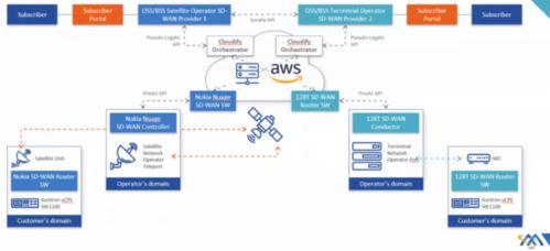 浅析基于卫星通信的软件定义网络在网络与信息安全软件开发中的应用与挑战