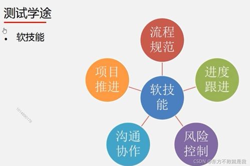 互联网产品测试过程中网络与信息安全软件开发的关键实践